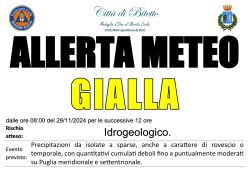 Allerta Meteo dalle 08:00 alle 20:00 del 29/11/2024